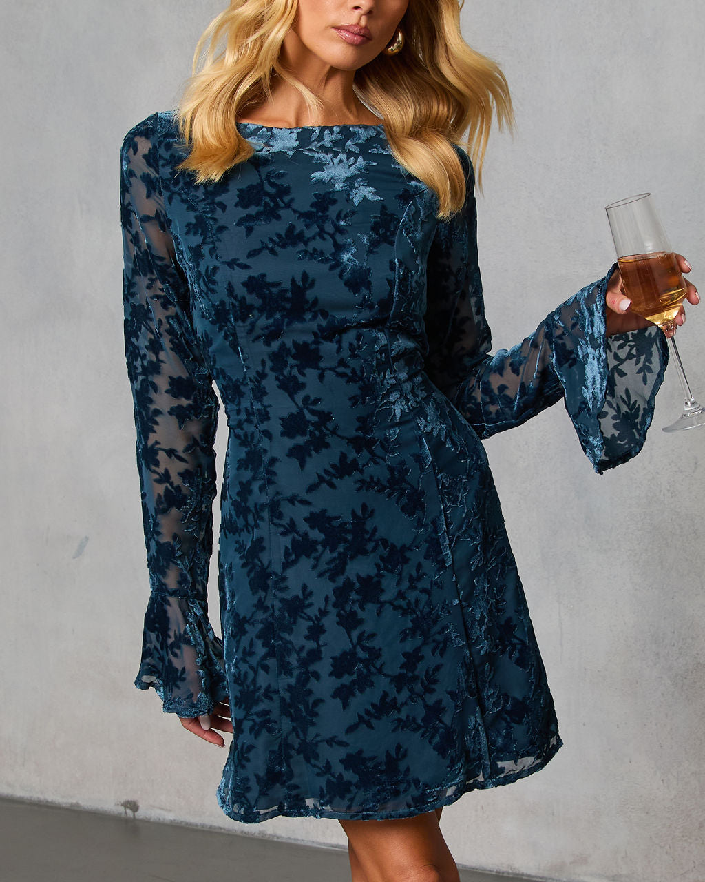 Rheba Flocked Velvet Mini Dress – VICI