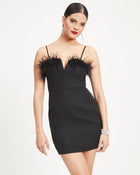 Black % Fancy You Feather Trim Mini Dress-1