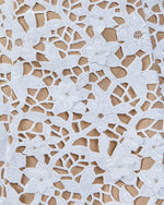 Honey Haven Floral Lace Crochet Mini Dress