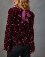 Mood Booster Velvet Sequin Blouse