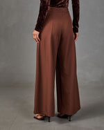 Back view of high-waisted brown wide-leg trousers with front pleats, styled with a velvet top and strappy heeled sandals