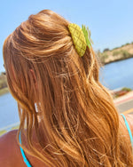 Citrus Charm Fruit Hair Clip Set