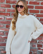 Denita Turtleneck Mini Sweater Dress