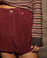 Autumn Classic Faux Suede Shorts
