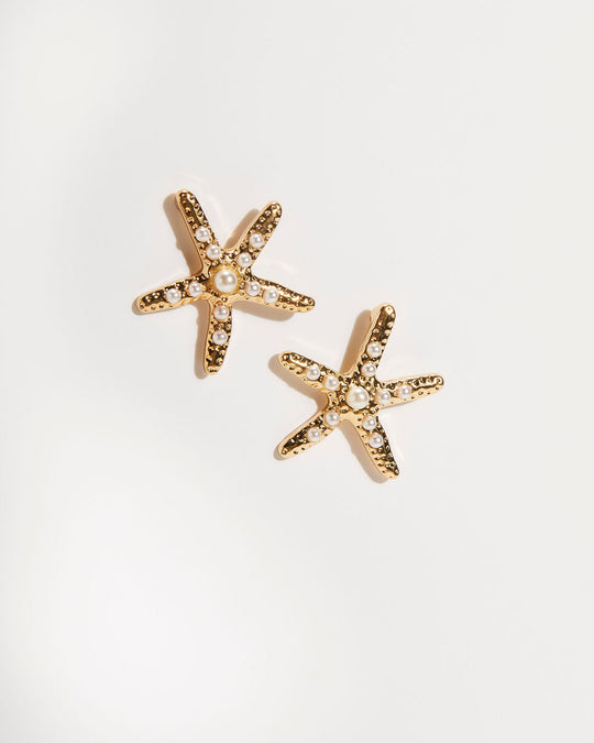 Starfish In The Sea Earrings